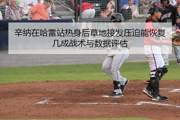 辛纳在哈雷站热身后草地接发压迫能恢复几成战术与数据评估